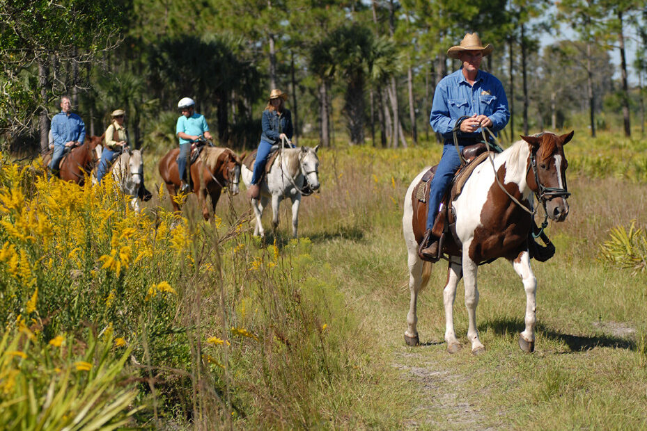 From Gold Rushes to Ghost Towns: Exploring Montana's Mining History Through Hidden Gems