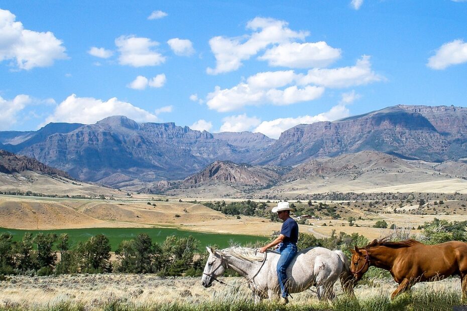 montana, cowboy, horses