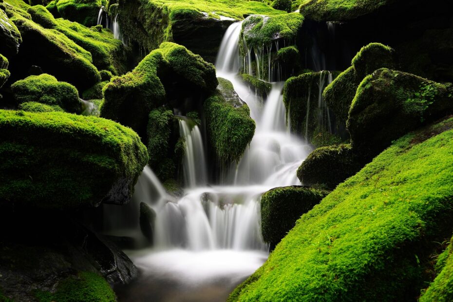 waterfall, moss, korea