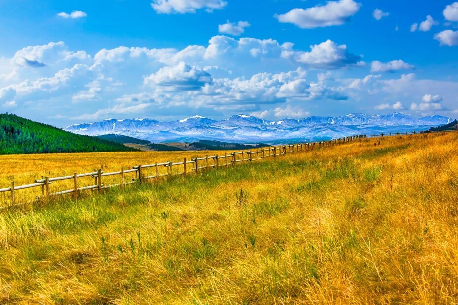 montana, fields, plains