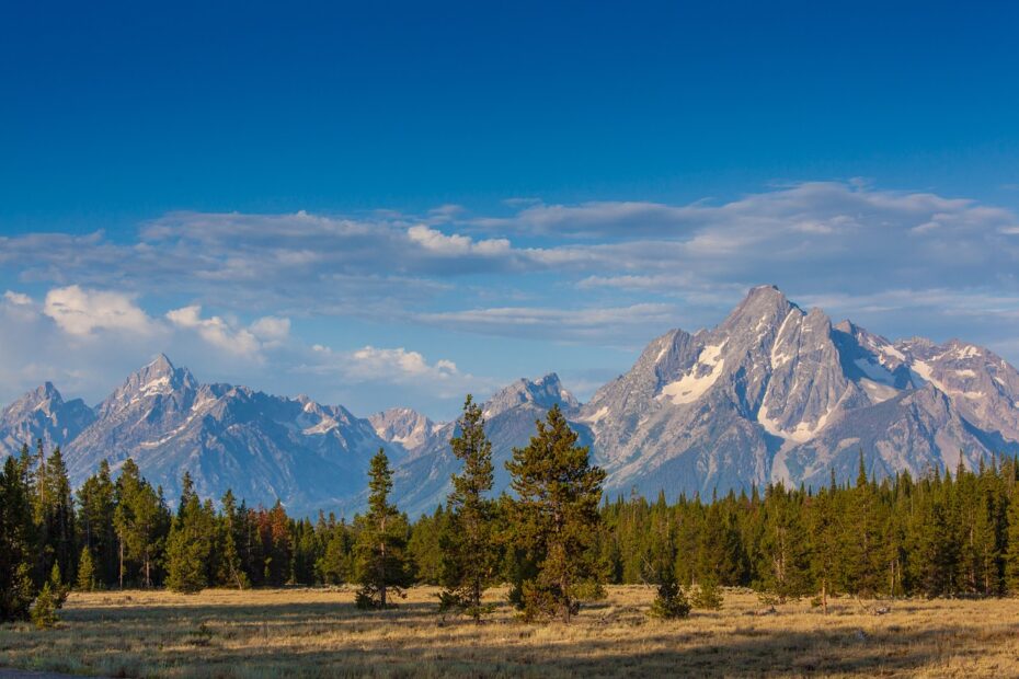 mountains, hill, yellowstone