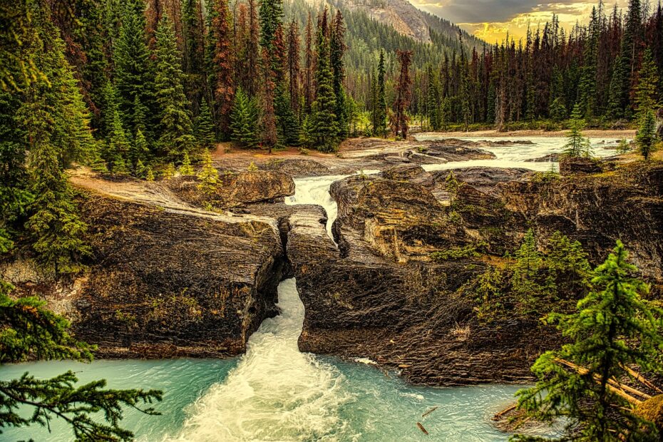 glacier national park, river, forest