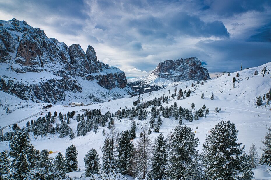 trees, forest, nature, woods, snow, dolomites, sella, val gardena, snow, snow, snow, snow, snow