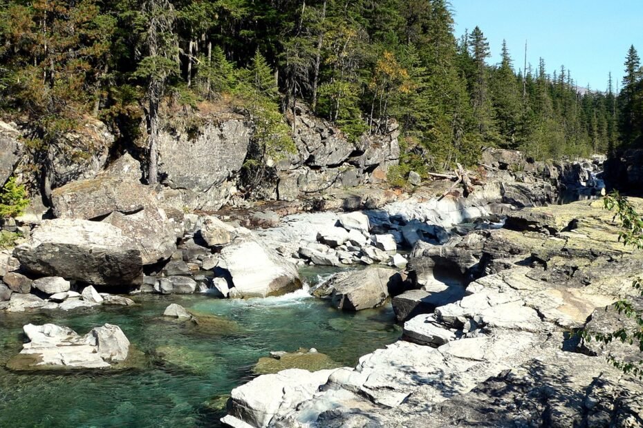 wolf creek montana, stream, tree, spring, america, nature, forest, trees, landscape, brook, creek, beautiful, scenery, montana, montana, montana, montana, montana, brook, brook, brook, creek